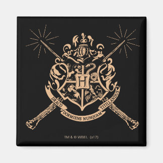 Harry Potter | Hogwarts-Vapensköld över Trollspön Magnet