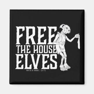 Harry Potter | Lediga husventiler Magnet