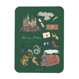 HARRY POTTER™ | Magiska nyheter Magnet