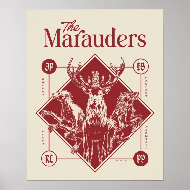 HARRY POTTER™ Marangörarnas Animagus- Grafik Poster (Framsidan)