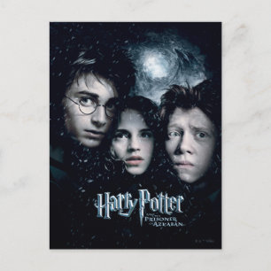 Harry Potter Movie Poster Vykort
