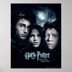 HARRY POTTER OCH AZKABAN™ FÅNGAR POSTER