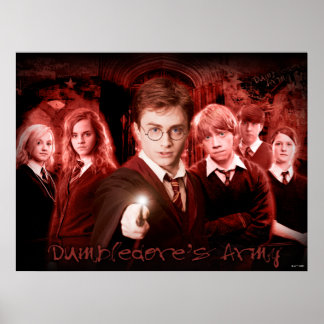 HARRY POTTER OCH BESTÄLLA AV den röda PHOENIX™EN Poster