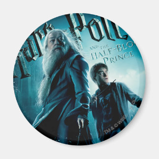 Harry Potter och Dumbledore på sten 1 Magnet