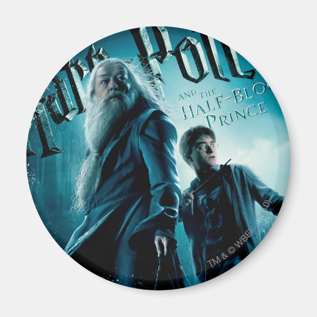 Harry Potter och Dumbledore på sten 1 Magnet (Framsidan)