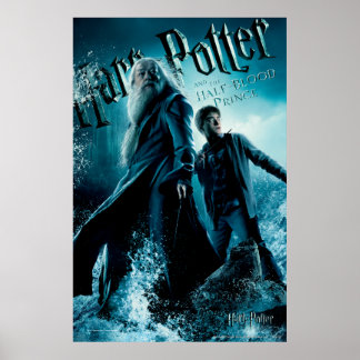Harry Potter och Dumbledore på stenar 1 Poster