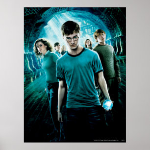 HARRY POTTER OCH FENIXORDEN™ Blå Poster