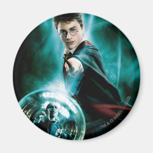 Harry Potter och Voldemort Endast en kan Överleva Magnet