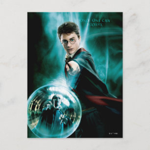 Harry Potter och Voldemort Endast en kan överleva Vykort