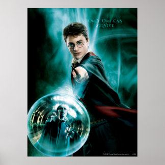 Harry Potter och Voldemort endast ett kan överleva Poster