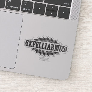 Harry Potter pass   Expelliarmus! Klistermärken