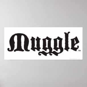 Harry Potter pass   Muggle Poster