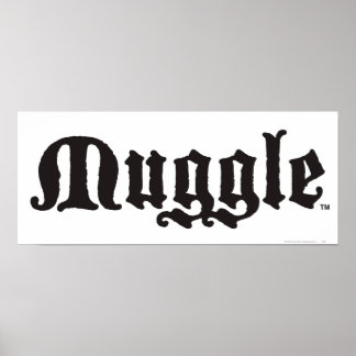 Harry Potter pass | Muggle Poster