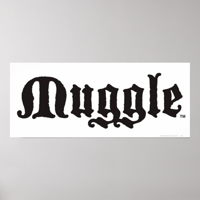 Harry Potter pass | Muggle Poster (Framsidan)