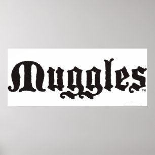 Harry Potter pass Muggles Poster