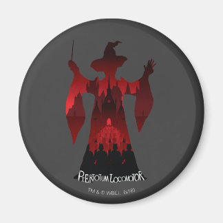 Harry Potter | Professor McGonagalls statyarmé Magnet