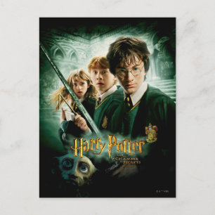 Harry Potter Ron Hermione Dobby Group Shot Vykort