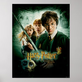 Harry Potter Ron Hermione Dobby Gruppskott Poster