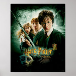 Harry Potter Ron Hermione Dobby Gruppskott Poster