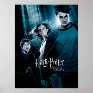 Harry Potter Ron Hermione i skogen Poster