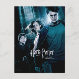 Harry Potter Ron Hermione I Skogen Vykort