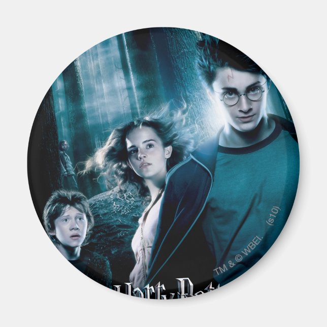Harry Potter Ron Hermione in Forest Magnet (Framsidan)