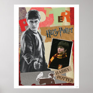 Harry Potter Sen och nu Poster