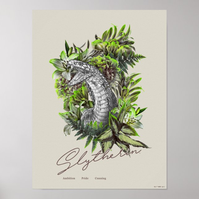 HARRY POTTER™ SLYTHERIN™ Blommigt Graphic Poster (Framsidan)