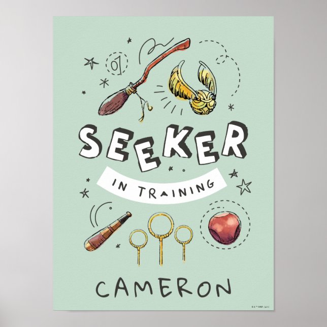 HARRY POTTER™ | Sökare under utbildning Poster (Framsidan)