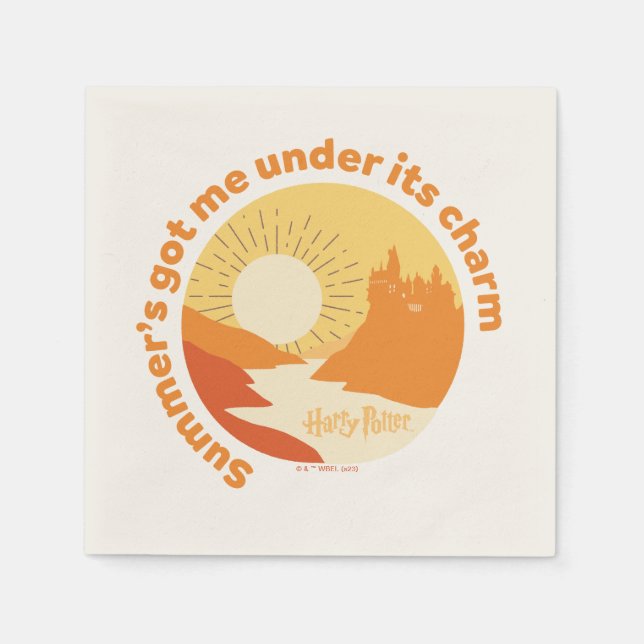 HARRY POTTER™ | Sommarmagi HOGWARTS™-Castle Pappersservett (Framsidan)