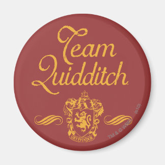 Harry Potter | Team QUIDDITCH™ Magnet