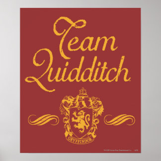 Harry Potter | Team QUIDDITCH™ Poster