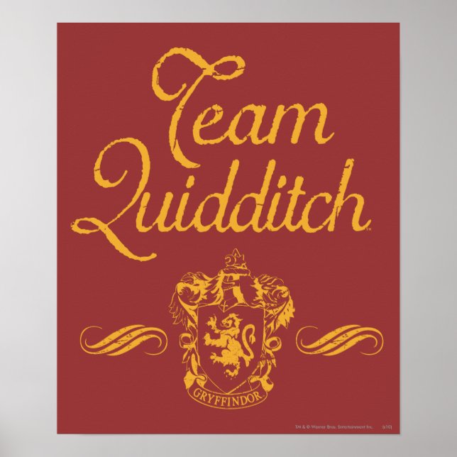 Harry Potter | Team QUIDDITCH™ Poster (Framsidan)