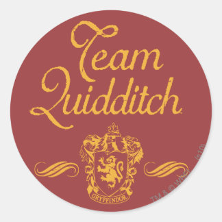 Harry Potter | Team QUIDDITCH™ Runt Klistermärke