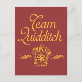 Harry Potter | Team QUIDDITCH™ Vykort