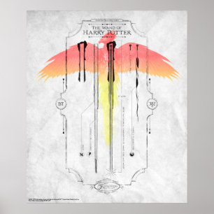 Harry Potter Tecken Harrys Trollstav Infographic Poster