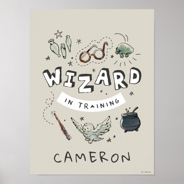 HARRY POTTER™ | Trollkarl under utbildning Poster (Framsidan)