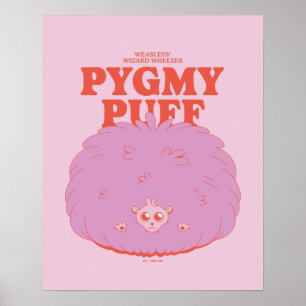 HARRY POTTER™   Weasleys guide Pygmy Puff Poster