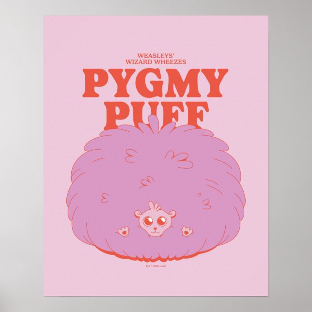 HARRY POTTER™ | Weasleys guide Pygmy Puff Poster (Framsidan)