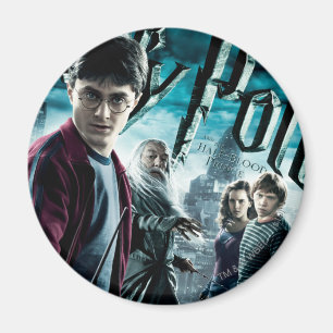 Harry Potter with Dumbledore Ron and Hermione 1 Magnet