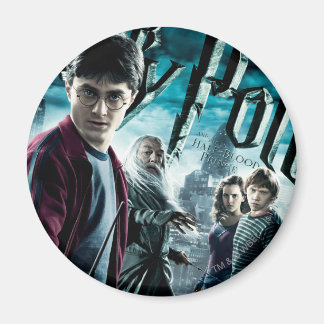 Harry Potter with Dumbledore Ron and Hermione 1 Magnet