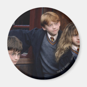 Harry, Ron och Hermione Magnet