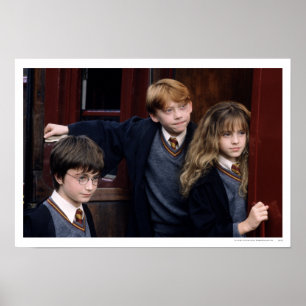 Harry, Ron och Hermione Poster