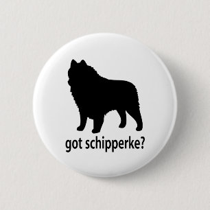 HarSchipperke Knapp