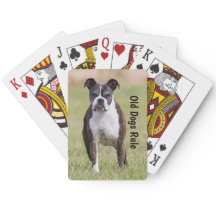 Härskar gammala hundar för boxare