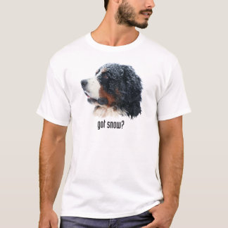 harsnö? Bernese berghund Tee