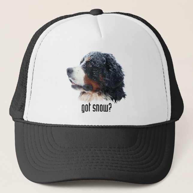 harsnö? Bernese hatt Truckerkeps (Framsida)