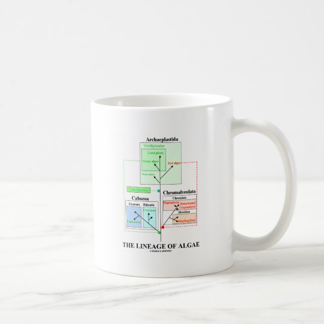 Härstamningen av alger kaffemugg (Höger)