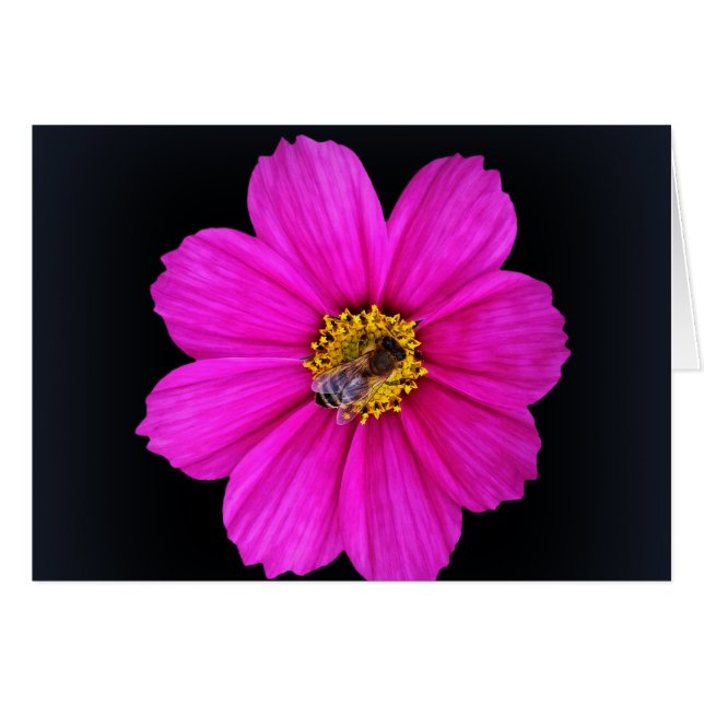 hårt arbetande bin hälsningskort (Framsidan Horizontal)