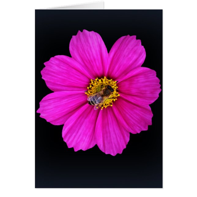 hårt arbetande bin hälsningskort (Framsidan)